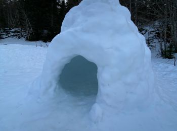 Tour Schneeschuhwandern Montcel - Le revard la croix des bergers  - Photo