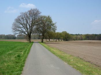 Trail On foot Forst (Lausitz) - Baršć - Wanderweg Forst-Döbern - Photo