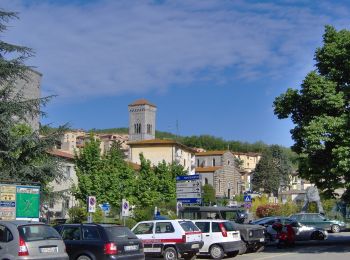 Tour Zu Fuß Gaiole in Chianti - Trekking tra i castelli 3 - Photo