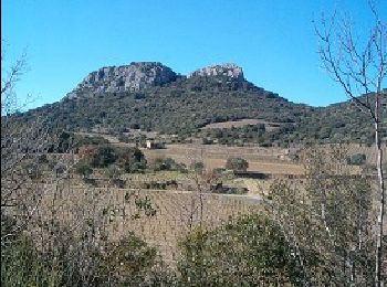 Excursión Senderismo Cabrières - Château de Cabrières - Photo