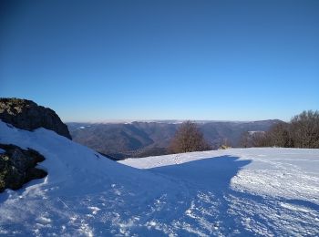 Percorso Racchette da neve Bourbach-le-Haut - Sortie raquettes Hundsruck Belacker - Photo