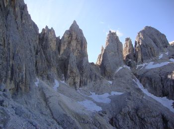 Randonnée A pied Primiero San Martino di Castrozza - IT-751 - Photo