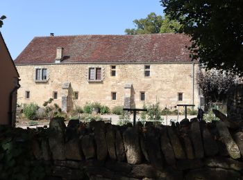 Tour Zu Fuß Gevrey-Chambertin - Sentier Bernard Quarteaux - Photo