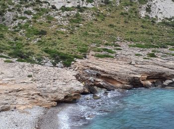 Tour Wandern Pollença - MAJORQUE - Cala Figuera (Formentor) - Photo