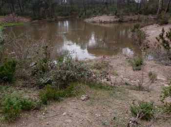 Trail Walking Puget-sur-Argens - z la lieutenante 28-01-20 - Photo