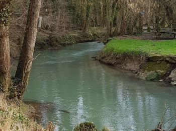 Tocht Stappen Mauperthuis - mauperthuis - Photo