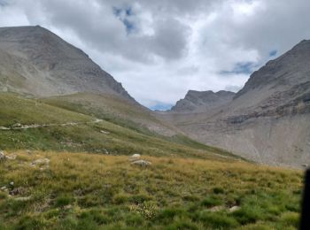 Randonnée Marche Allos - ALLOS . LE PIOLAT . O - Photo