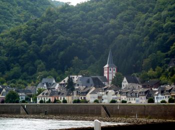 Randonnée A pied Boppard - Traumschleife Rheingold - Photo