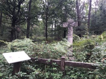 Excursión Senderismo Liniers - Moulières avec Antoine  - Photo