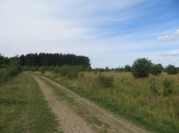 Percorso A piedi Harrislee - Rundweg 1, Stiftungsland Schäferhaus - Photo