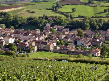 Percorso Marcia Boudes - Boudes_Coteaux - Photo