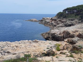 Tocht Stappen Palafrugell - de Tamariu àcala Pedrosa. - Photo