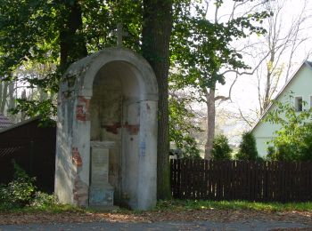 Tocht Te voet Bad Gottleuba-Berggießhübel - [Z] okruh Oelsen - Špičák - Oelsen - Photo