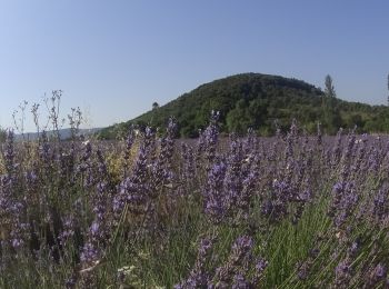 Excursión Bici de montaña Lagorce - vtt vallon - Photo