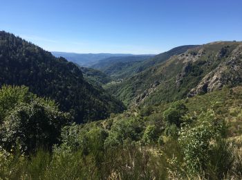 Trail Walking Saint-Étienne-de-Lugdarès - Le Bez-Borne-les Chambons - Photo