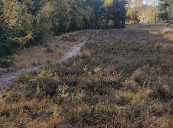 Randonnée Marche Beerse - Blackheide - Photo