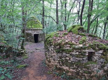 Randonnée Marche Peyzac-le-Moustier - Payzac-le-moustier, St Leon s/ Vézère, la Roque St Christophe  - Photo