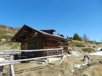 Tour Zu Fuß Teser - Troso de la Mandrolina - Photo