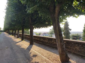 Tour Wandern Châtenay-Malabry - L'Antonyenne - Photo