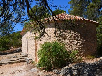 Trail Walking Brignoles - Brignoles - Rocher du Gueit - Chapelle St Sébastien - Photo