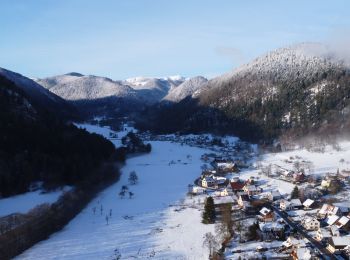 Randonnée Marche Metzeral - Autours de Metzeral - Photo