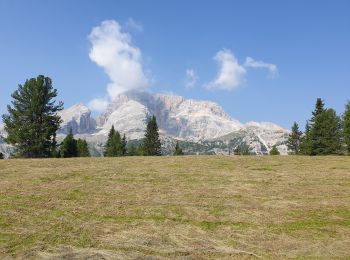 Tocht Stappen Prags - Braies - Strudelkopf - Monte Specie 2307m - Photo