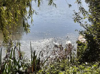 Randonnée Marche Villeneuve-d'Ascq - La chaîne des lacs - Photo