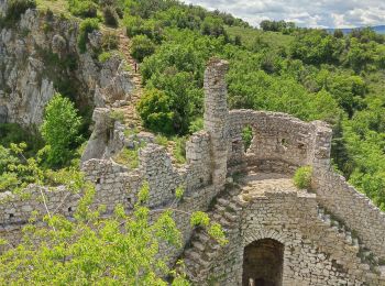 Tour Wandern Toulaud - Château de Crussol par Meyret - Photo