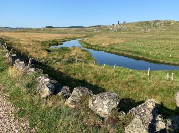 Trail Walking Prinsuéjols-Malbouzon - 2021 AUBRAC Étape 6 - Photo