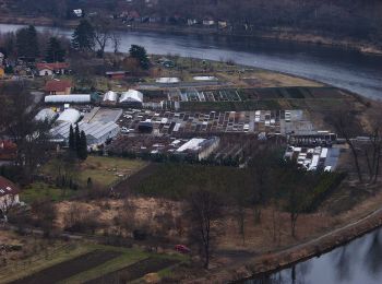 Tour Zu Fuß Úholičky - NS Rozhlédni se člověče - Photo