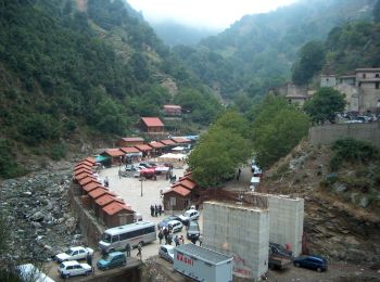 Trail On foot Santo Stefano in Aspromonte - (SI U02) Gambarie - Polsi - Photo