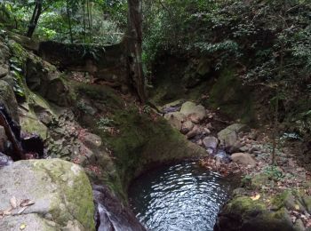 Excursión Senderismo Bouillante - Aquarando Rivière Losteau - Rivière Espérance - Photo