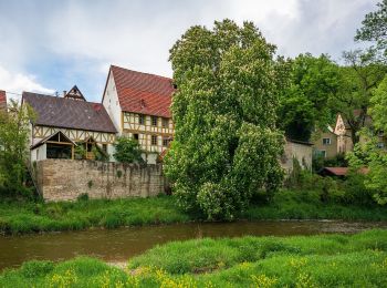 Tocht Te voet Widdern - KJ14 Widdern-Ziegelhütte-Bühl-Rundweg - Photo