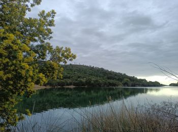 Trail Mountain bike Bormes-les-Mimosas - Dfci du trapan - Photo