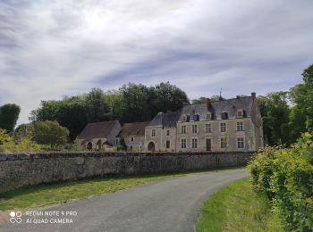 Tocht Fiets La Chartre-sur-le-Loir - Vignes en Loir - Photo