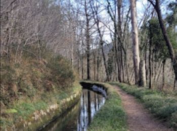 Percorso Marcia Andoain - CANAL DES MILLE MARCHES - CANAL DE VILLABONA Otieta Parkea  - Photo