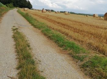 Tour Wandern Gruyères - Gruyère Réalisé le 02 08 2021  - Photo