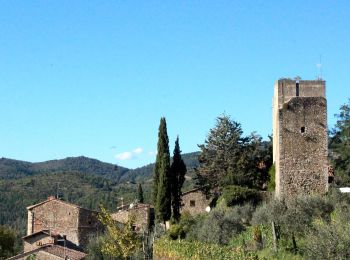 Tour Zu Fuß Gaiole in Chianti - IT-54 - Photo