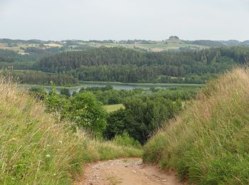 Tocht Te voet Smolniki - Wokół jeziora Jaczno - Photo