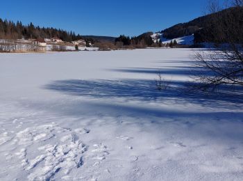 Tocht Sneeuwschoenen Lamoura - Lac de Lamoura  - Photo