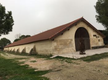 Excursión Senderismo Arles - Musée Pont de Rousty - Photo