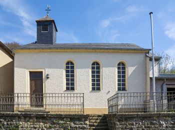 Tour Zu Fuß Rosport-Mompach - Fleche Bleu Born - Photo