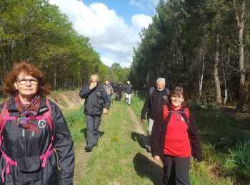 Excursión Senderismo Vierzon - Étang de fay 04 05 2019 - Photo