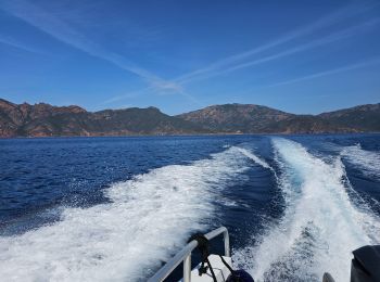 Randonnée Bateau à moteur Casaglione - Scandola, Girolata  - Photo