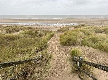 Excursión Senderismo Blankenberge - Blankenberge 11 km - Photo