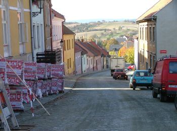 Percorso A piedi Boskovice - Oborský okruh - Photo