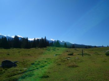 Trail Walking La Chapelle-en-Vercors - la Sarna /Roche Rousse - Photo