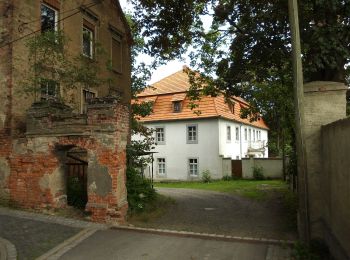 Tour Zu Fuß Elsteraue - Ökologischer Lehrpfad Elsteraue - Photo