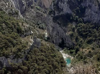 Tour Wandern La Palud-sur-Verdon - les malines au point sublime - Photo