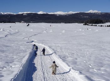 Percorso A piedi Enego - Sentiero dei Cippi variante - Photo